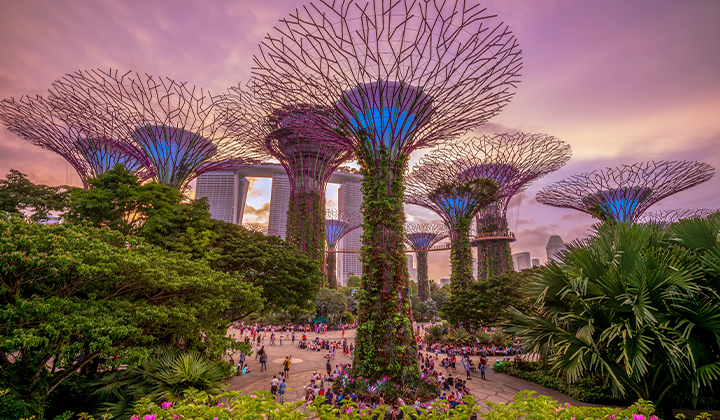 EXPERIENCE SINGAPORE - AS SEEN IN THE WEST AUSTRALIAN!