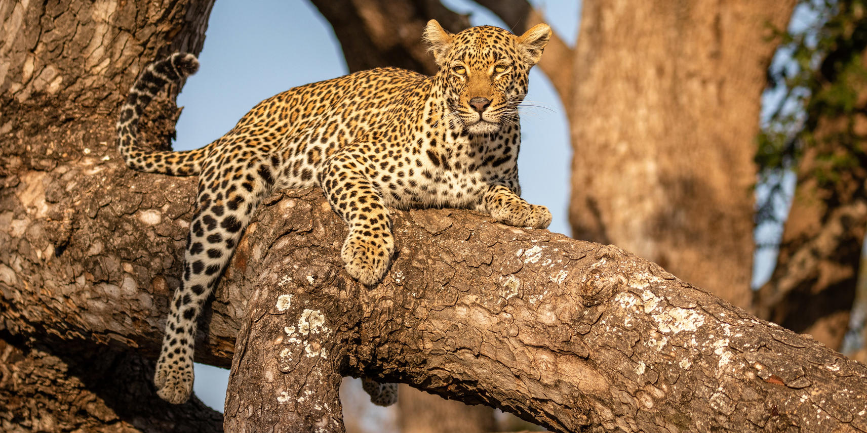 13 NIGHT CAPE TOWN, PRIVATE GAME RESERVES OF KRUGER NATIONAL PARK & VICTORIA FALLS